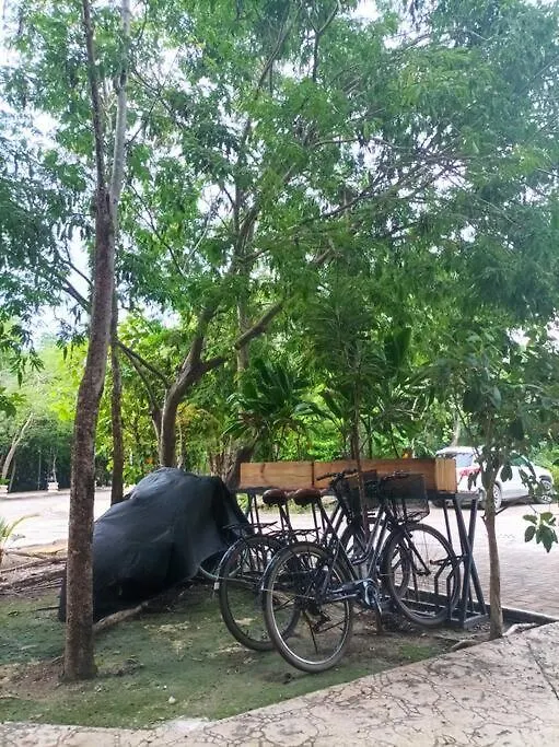 Mya Studio Tulum Aldea Zama México