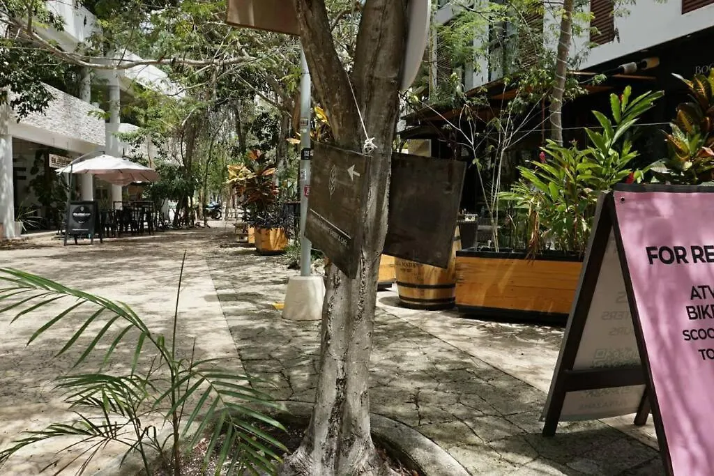 Mya Studio Tulum Aldea Zama México